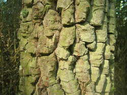  <a style='color: #fff;' href='/uploaded/photo/parc-d-agroparistech-5d063d5ba1c9f.jpg'>(Télécharger)</a>