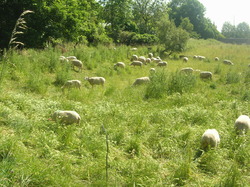  <a style='color: #fff;' href='/uploaded/photo/parc-d-agroparistech-5d063d621236b.jpg'>(Télécharger)</a>