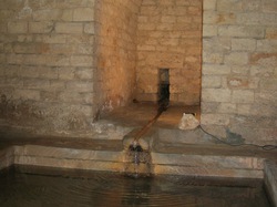  <a style='color: #fff;' href='/uploaded/photo/paroles-de-jardiniers-558692dabced3.jpg'>(Télécharger)</a>