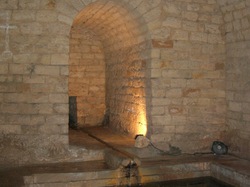  <a style='color: #fff;' href='/uploaded/photo/paroles-de-jardiniers-5586933fd8e5c.jpg'>(Télécharger)</a>