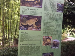  <a style='color: #fff;' href='/uploaded/photo/paroles-de-jardiniers-5587d1e63bf7b.jpg'>(Télécharger)</a>