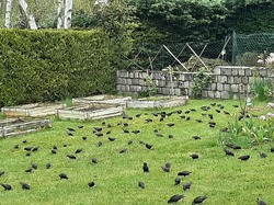 Chez Anne <a style='color: #fff;' href='/uploaded/photo/pendant-le-confinement-5ede2bac39fd8.jpg'>(Télécharger)</a>