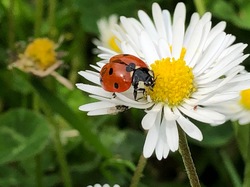 Chez Cannelle <a style='color: #fff;' href='/uploaded/photo/pendant-le-confinement-5ede2bbb44a9a.jpg'>(Télécharger)</a>