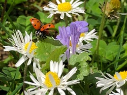 Chez Cannelle <a style='color: #fff;' href='/uploaded/photo/pendant-le-confinement-5ede2bbb5a883.jpg'>(Télécharger)</a>