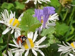 Chez Cannelle <a style='color: #fff;' href='/uploaded/photo/pendant-le-confinement-5ede2bc939630.jpg'>(Télécharger)</a>