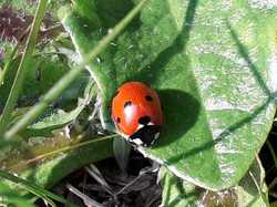 Par Philippe B <a style='color: #fff;' href='/uploaded/photo/pendant-le-confinement-5ede2c30c44fe.jpg'>(Télécharger)</a>