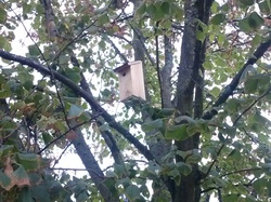  <a style='color: #fff;' href='/uploaded/photo/pose-des-nichoirs-a-l-ecole-525430f353211.jpg'>(Télécharger)</a>