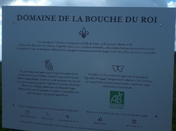  <a style='color: #fff;' href='/uploaded/photo/rando-boussole-davron-6058d66152e99.jpg'>(Télécharger)</a>