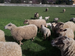  <a style='color: #fff;' href='/uploaded/photo/rando-boussole-davron-6058d669e23ff.jpg'>(Télécharger)</a>