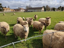  <a style='color: #fff;' href='/uploaded/photo/rando-boussole-davron-6058d66d8a6cd.jpg'>(Télécharger)</a>