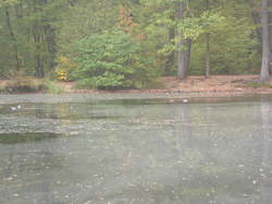  <a style='color: #fff;' href='/uploaded/photo/randonnee-a-la-boussole-5bd5d7ca17b53.jpg'>(Télécharger)</a>