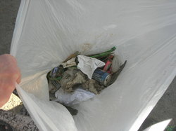 Une partie des déchets collectés au cours de la marche ! <a style='color: #fff;' href='/uploaded/photo/randonnee-a-la-boussole-autour-de-montainville-5c73c8c9ccd0b.jpg'>(Télécharger)</a>