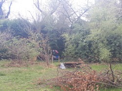  <a style='color: #fff;' href='/uploaded/photo/sauvetage-de-herissons-a-sannois-17-mars-2019-5c9cded156476.jpg'>(Télécharger)</a>