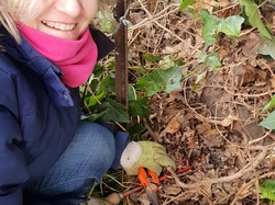  <a style='color: #fff;' href='/uploaded/photo/sauvetage-de-herissons-a-sannois-17-mars-2019-5c9cdee1088d5.jpg'>(Télécharger)</a>