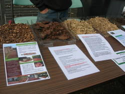 Gros plan sur les paillages <a style='color: #fff;' href='/uploaded/photo/serd-ateliers-tri-et-compost-54709febb7537.jpg'>(Télécharger)</a>