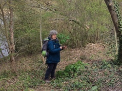  <a style='color: #fff;' href='/uploaded/photo/sortie-botanique-2-avril-2022-624ebecc8337b.jpg'>(Télécharger)</a>