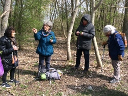  <a style='color: #fff;' href='/uploaded/photo/sortie-botanique-2-avril-2022-624ebeccbd6a1.jpg'>(Télécharger)</a>