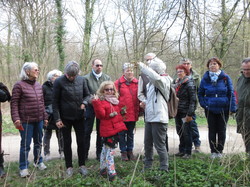  <a style='color: #fff;' href='/uploaded/photo/sortie-botanique-en-foret-de-st-germain-5ca237d6d0c8a.jpg'>(Télécharger)</a>