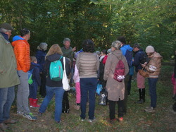  <a style='color: #fff;' href='/uploaded/photo/sortie-champignons-30-sept-2018-5bb731311c8b8.jpg'>(Télécharger)</a>