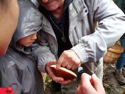  <a style='color: #fff;' href='/uploaded/photo/sortie-champignons-5d9f62340f6b1.jpg'>(Télécharger)</a>