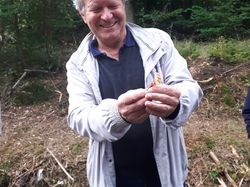  <a style='color: #fff;' href='/uploaded/photo/sortie-champignons-61570898d1e0b.jpg'>(Télécharger)</a>