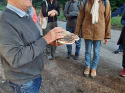  <a style='color: #fff;' href='/uploaded/photo/sortie-champignons-en-fory-t-de-marly-652d9f659564b.jpg'>(Télécharger)</a>