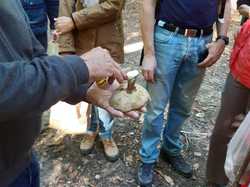  <a style='color: #fff;' href='/uploaded/photo/sortie-champignons-en-fory-t-de-marly-652d9f79ed39e.jpg'>(Télécharger)</a>