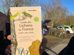  <a style='color: #fff;' href='/uploaded/photo/sortie-lichens-65cce63223569.jpg'>(Télécharger)</a>