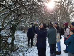  <a style='color: #fff;' href='/uploaded/photo/sortie-lichens-65cce632366e3.jpg'>(Télécharger)</a>