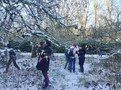  <a style='color: #fff;' href='/uploaded/photo/sortie-lichens-65cce6326d518.jpg'>(Télécharger)</a>