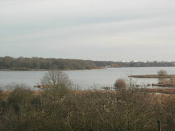  <a style='color: #fff;' href='/uploaded/photo/sortie-ornitho-5e1f184a1ae9b.jpg'>(Télécharger)</a>