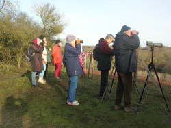  <a style='color: #fff;' href='/uploaded/photo/sortie-ornitho-5e1f184a9a312.jpg'>(Télécharger)</a>