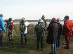  <a style='color: #fff;' href='/uploaded/photo/sortie-ornitho-5e1f184c5218e.jpg'>(Télécharger)</a>