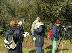  <a style='color: #fff;' href='/uploaded/photo/sortie-ornitho-du-9-sept-2017-59b8de2c622d7.jpg'>(Télécharger)</a>