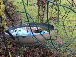  <a style='color: #fff;' href='/uploaded/photo/un-jardin-en-hiver-601d5e62424bb.jpg'>(Télécharger)</a>