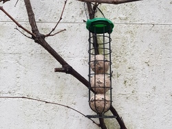  <a style='color: #fff;' href='/uploaded/photo/un-jardin-en-hiver-601d5e639f3cd.jpg'>(Télécharger)</a>