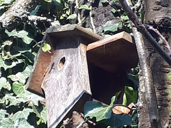  <a style='color: #fff;' href='/uploaded/photo/un-jardin-en-hiver-601d5e9247499.jpg'>(Télécharger)</a>