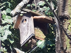  <a style='color: #fff;' href='/uploaded/photo/un-jardin-en-hiver-601d5e92513dd.jpg'>(Télécharger)</a>