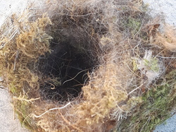  <a style='color: #fff;' href='/uploaded/photo/un-jardin-en-hiver-601d5e9304ded.jpg'>(Télécharger)</a>