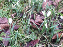  <a style='color: #fff;' href='/uploaded/photo/un-jardin-en-hiver-601d5fe463e7d.jpg'>(Télécharger)</a>