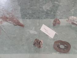  <a style='color: #fff;' href='/uploaded/photo/usine-azalys-5ce14ebfdd585.jpg'>(Télécharger)</a>