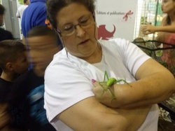  <a style='color: #fff;' href='/uploaded/photo/village-des-assos-carrieres-522ca6914abad.jpg'>(Télécharger)</a>