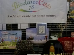  <a style='color: #fff;' href='/uploaded/photo/village-des-assos-carrieres-522cb011c268b.jpg'>(Télécharger)</a>