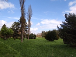  <a style='color: #fff;' href='/uploaded/photo/visie-arboretum-de-chevreloup-6253f998e75bd.jpg'>(Télécharger)</a>