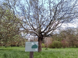  <a style='color: #fff;' href='/uploaded/photo/visie-arboretum-de-chevreloup-6253f9b559b1d.jpg'>(Télécharger)</a>