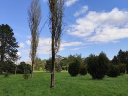  <a style='color: #fff;' href='/uploaded/photo/visie-arboretum-de-chevreloup-6253f9e4b392f.jpg'>(Télécharger)</a>