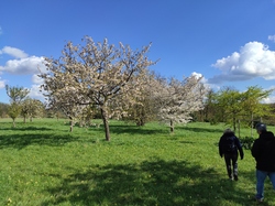  <a style='color: #fff;' href='/uploaded/photo/visie-arboretum-de-chevreloup-6253fa0999f6c.jpg'>(Télécharger)</a>