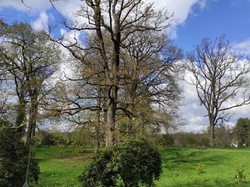  <a style='color: #fff;' href='/uploaded/photo/visie-arboretum-de-chevreloup-6253fa09b09b3.jpg'>(Télécharger)</a>