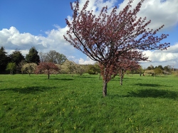  <a style='color: #fff;' href='/uploaded/photo/visie-arboretum-de-chevreloup-6253fa09d0c5b.jpg'>(Télécharger)</a>