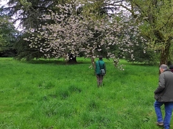  <a style='color: #fff;' href='/uploaded/photo/visie-arboretum-de-chevreloup-6253fa0beaf04.jpg'>(Télécharger)</a>